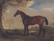 John Ferneley Portrait of a Hunter Mare,The Property of Robert shafto of whitworth park,durham oil painting